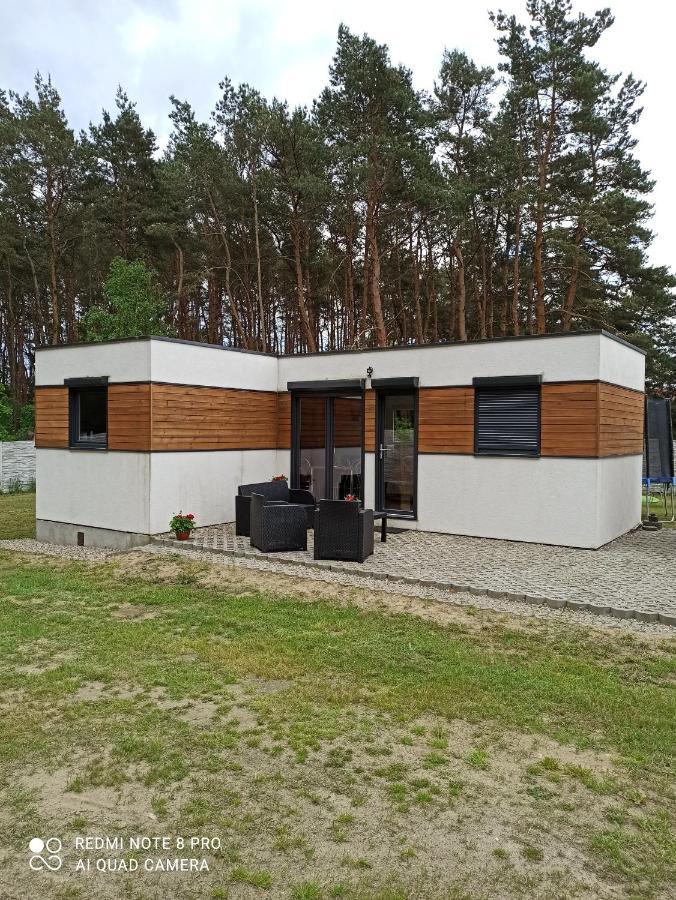 Domki Pod Sosnami Miedzychod Exterior photo